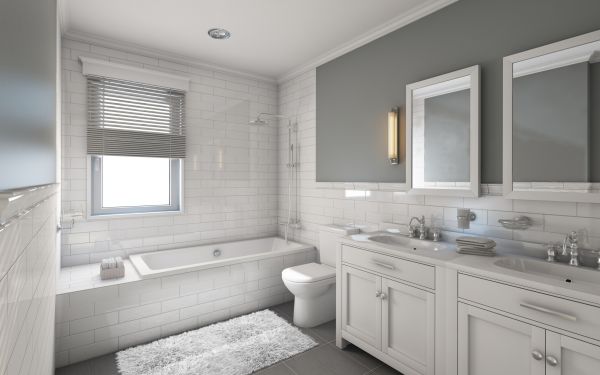 Restroom Remodeling in Eagle