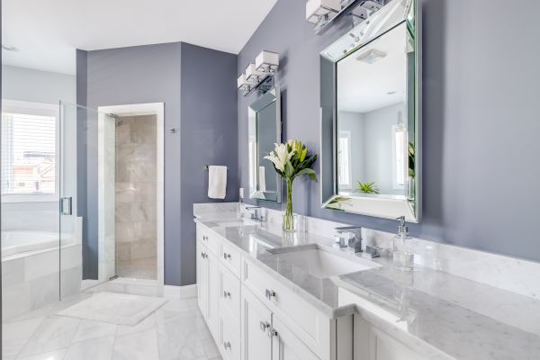 Restroom Renovation in Eagle