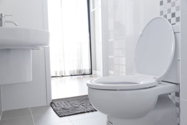 Toilet Relocation in Eagle